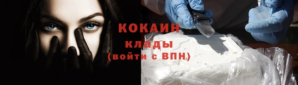 гашик Осташков