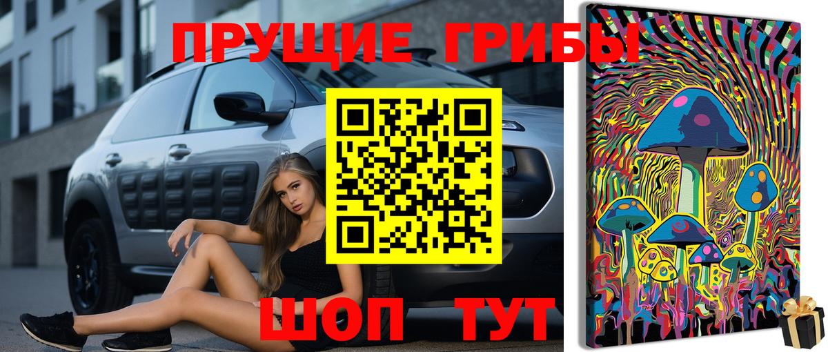 Галлюциногенные грибы MAGIC MUSHROOMS  Вход с VPN  Североморск 