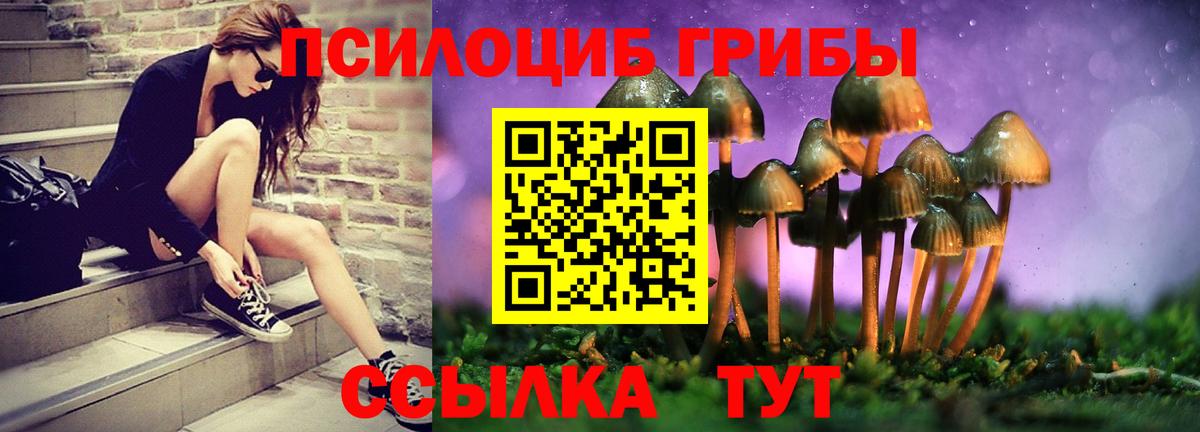 Галлюциногенные грибы GOLDEN TEACHER Североморск